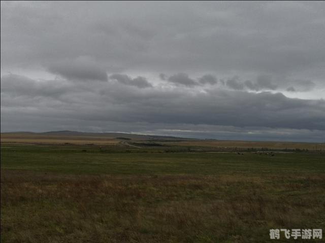 森林冰火人游戏,森林冰火人手游攻略:掌握冰火之力,勇闯神秘森林!