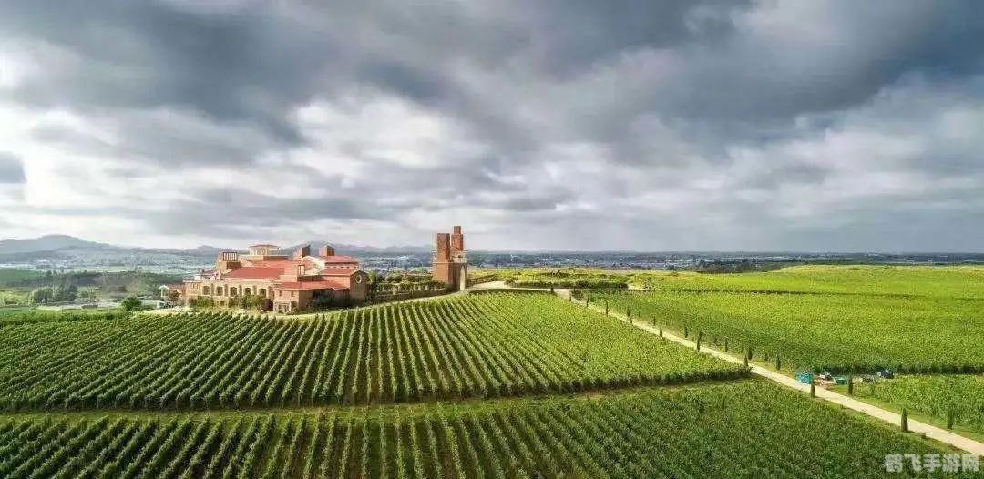 蚂蚁庄园：葡萄酒盛宴，解锁庄园新篇章