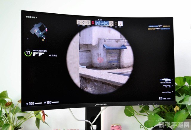 夏日炎炎蚂蚁庄园游戏攻略：打造你的繁盛蚂蚁帝国