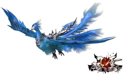 五方寒物护异鸟,五方寒物护异鸟:探索游戏中的珍稀异兽与保护之道