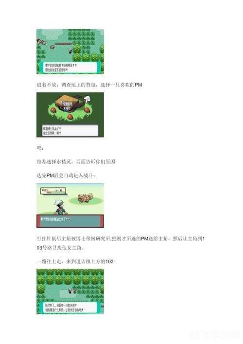 口袋妖怪绿金手指,口袋妖怪绿宝石金手指攻略:成为顶级训练师的秘诀
