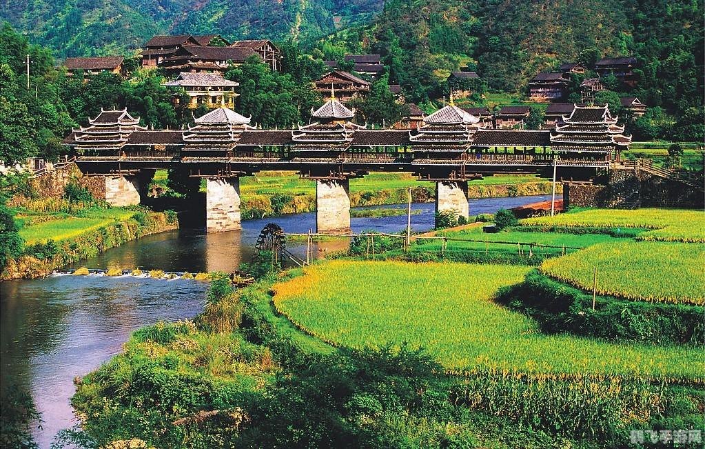 赛尔小游戏：攻略大全与玩法解析