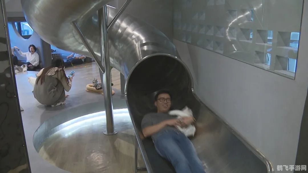 宠物连连看可爱版2,宠物连连看可爱版2：萌宠连连，乐趣无穷！