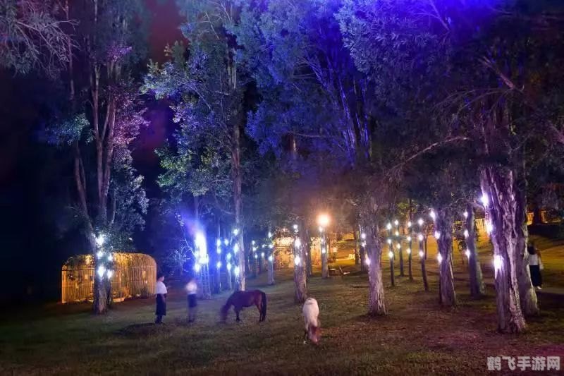 网易泡泡游戏,网易泡泡游戏探秘：成为顶级玩家的攻略大全