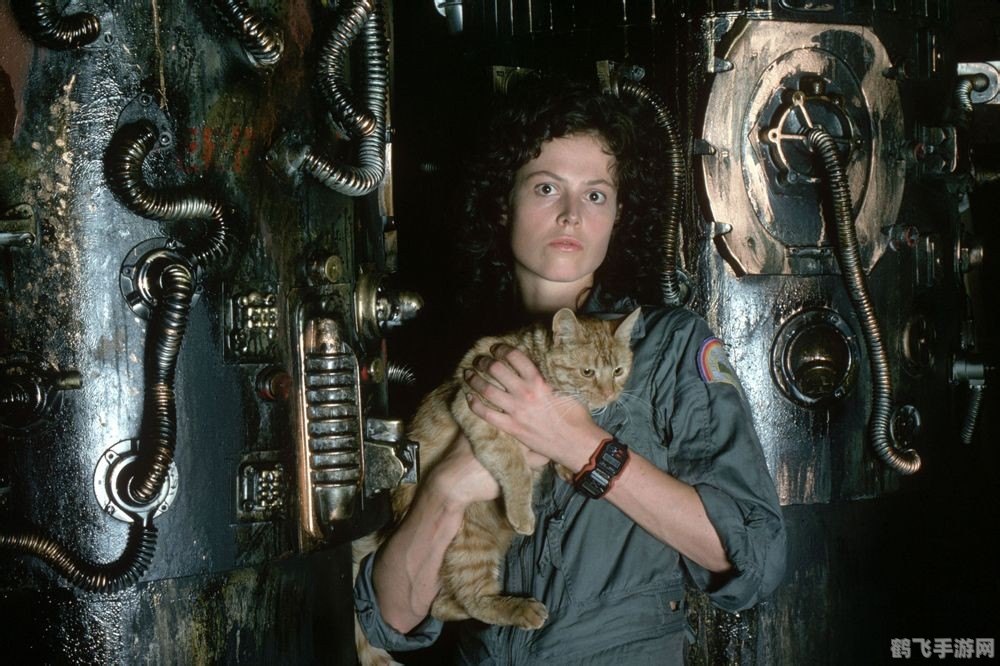 2013新网游:探索未知,掌握手游攻略大全