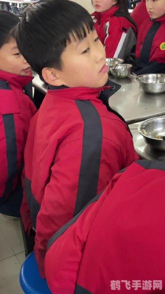 无限猫头鹰手游攻略：成为顶级猫头鹰训练师