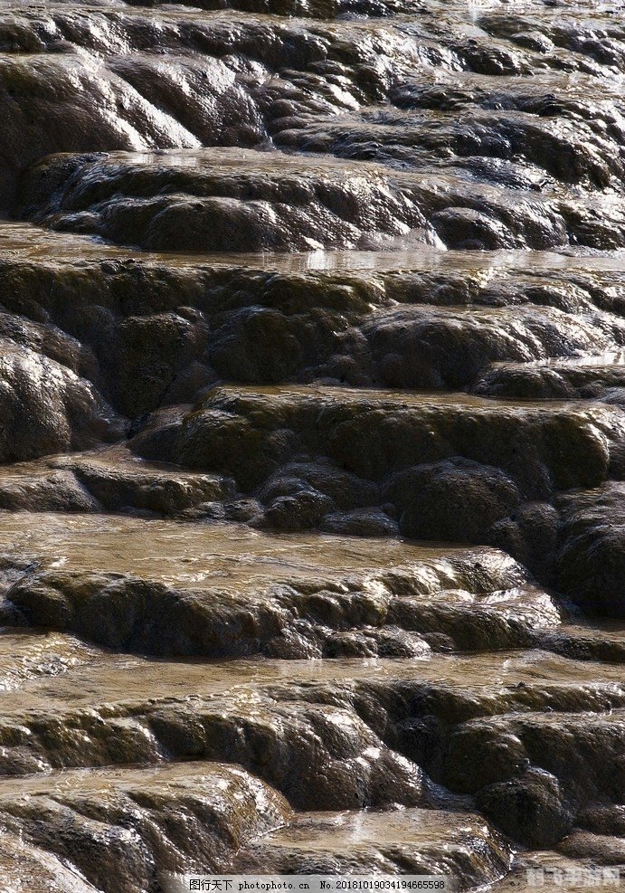 lol河流之王,LOL手游河流之王攻略:掌控水流的王者