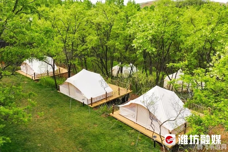 幻世录2完美攻略:探索未知世界,成为最强战士!