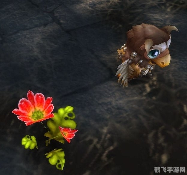 魔兽世界向日葵宝宝,魔兽世界全新宠物：向日葵宝宝萌动上线！