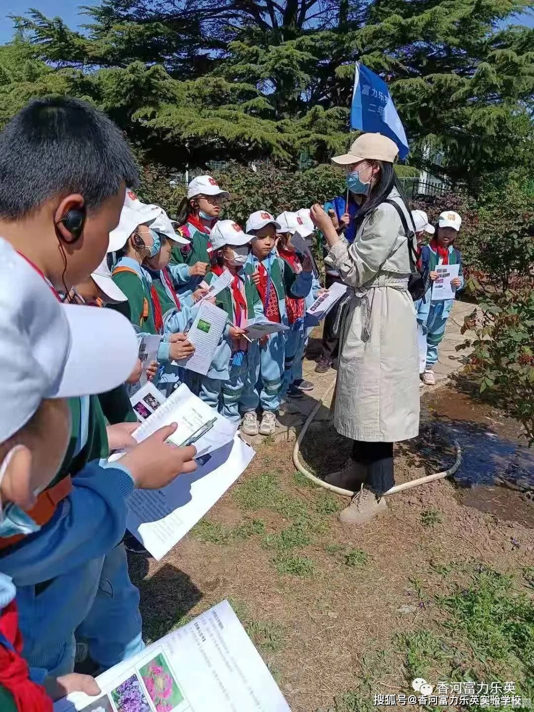 探索无尽迷宫：手游玩法与攻略全解析