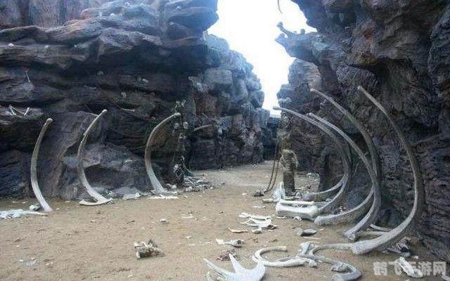 神之墓地3.0.4,神之墓地3.0.4手游深度攻略：探索未知，成为真正的神墓守护者