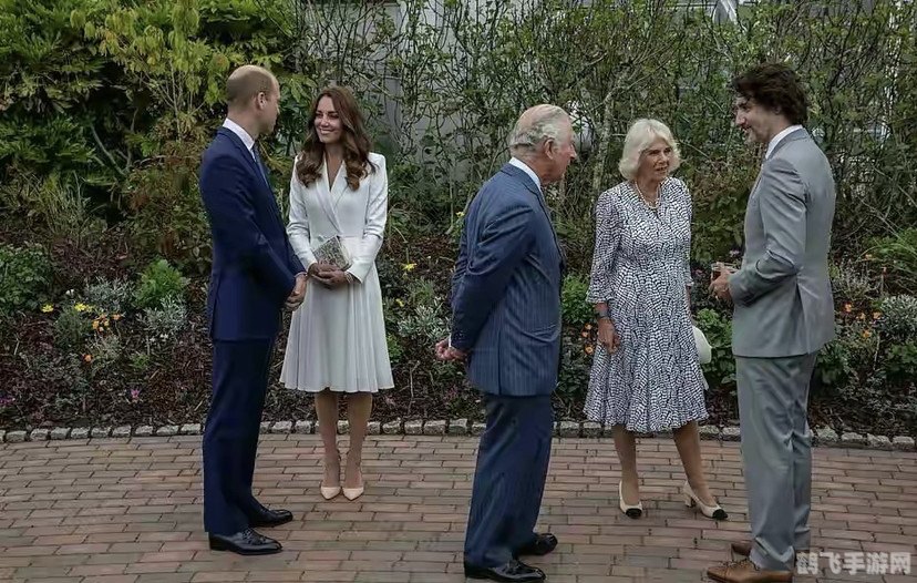 皇家守卫军中文白金版攻略：打造坚不可摧的王国防线