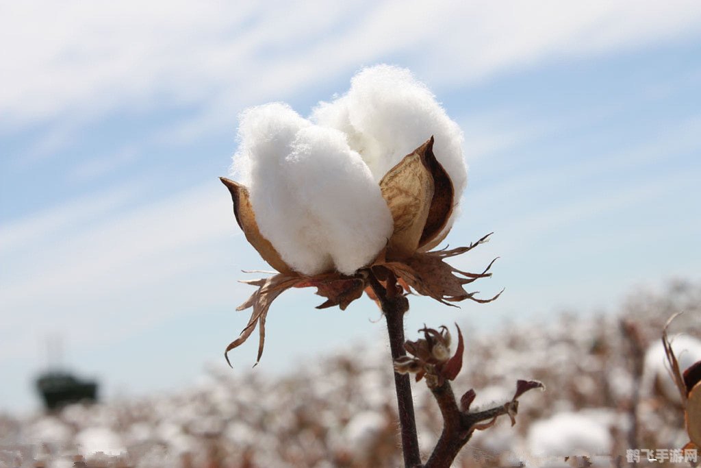 足球2013,足球2013:重温经典,赛场风云再起