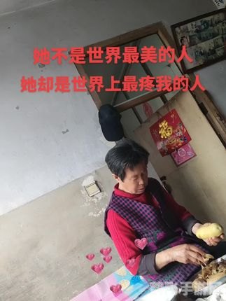 网页对战游戏,网页对战游戏:策略与激情的完美结合