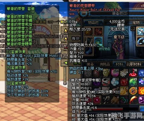 dnf勇者装备,DNF勇者装备全解析：打造最强勇士的秘诀