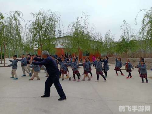 走钢丝游戏,走钢丝游戏：极致平衡挑战与攻略指南