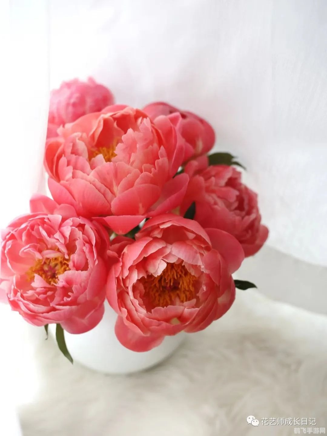 蜻蜓手游网独家揭秘：玩转手游新攻略，带你领略游戏魅力！