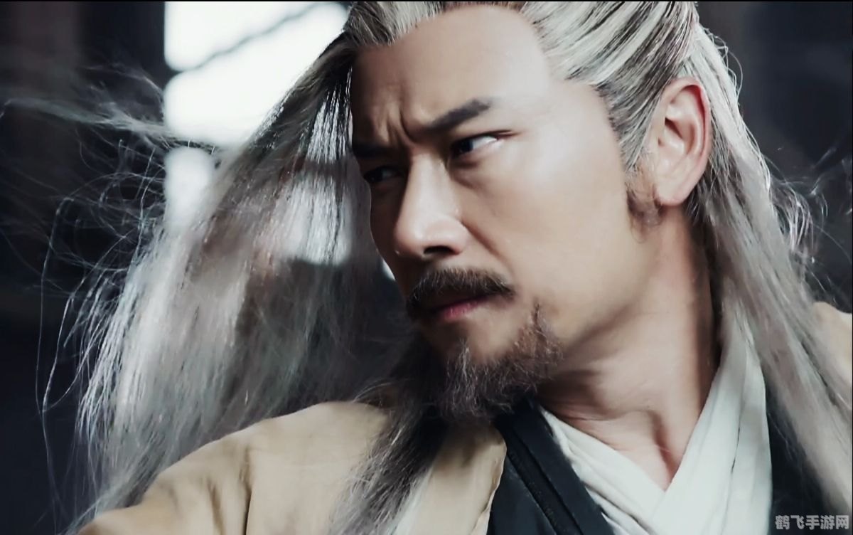 武林立志传 武功,武林立志传武功系统深度解析