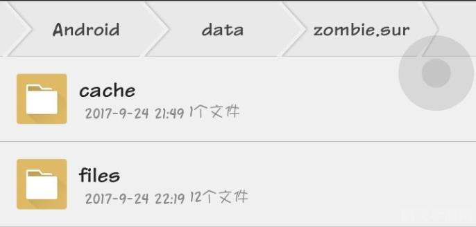 黑人Last Day on Earth手游：生存之道与攻略秘籍