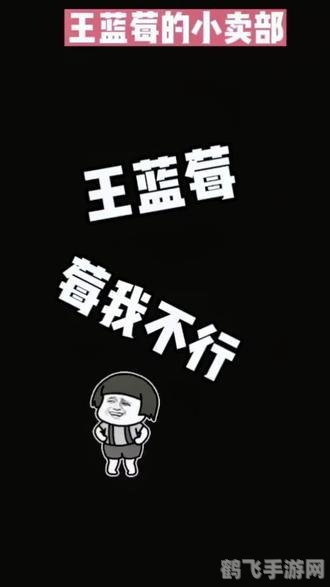 王蓝莓的小卖部手游攻略:打造你的五零后小卖部帝国