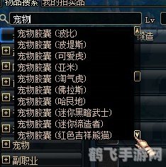 DNF宠物交易全攻略