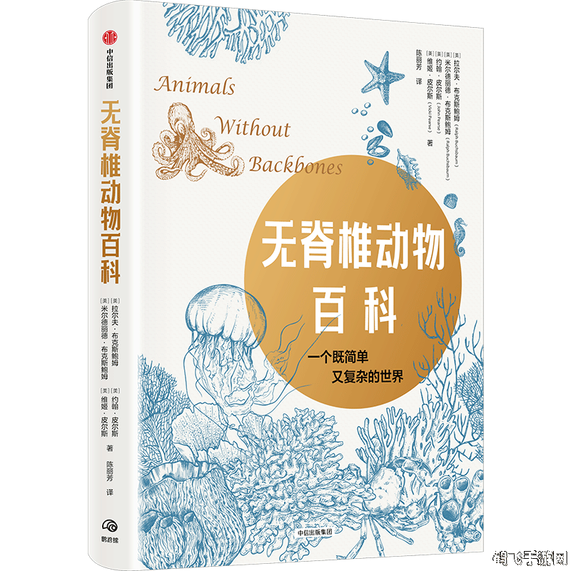 无脊椎动物中的智力巅峰：探索脑力王者的世界