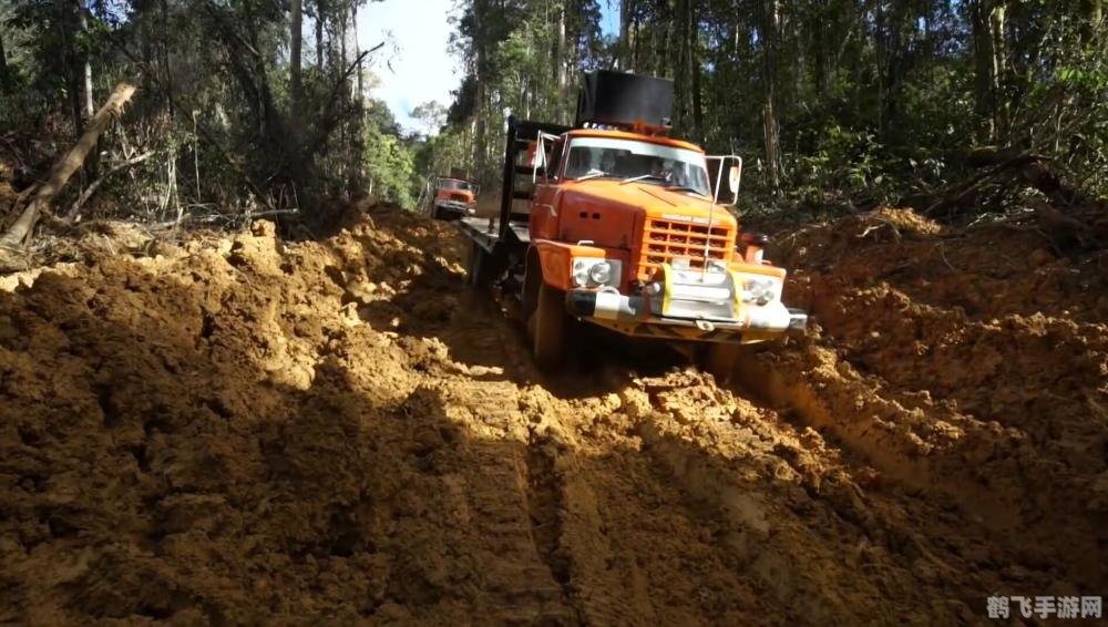 电子游戏森林舞会,探索虚拟世界,制胜森林舞会——手游攻略大揭秘