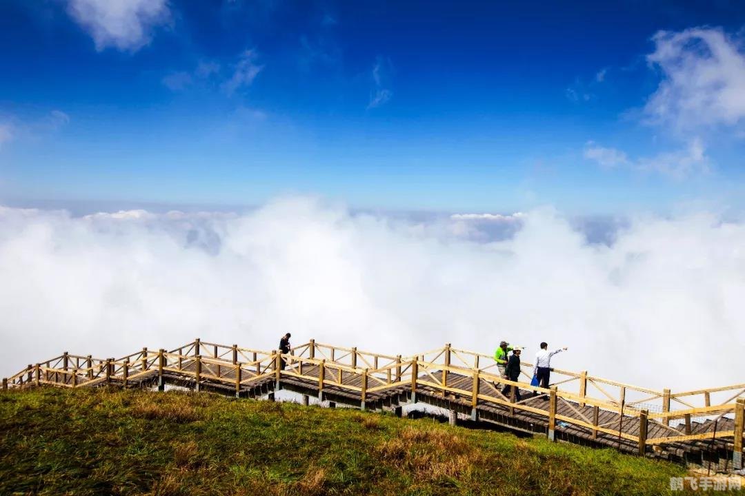 探索音乐节奏的魅力：盘点类似节奏大师的五大音乐游戏