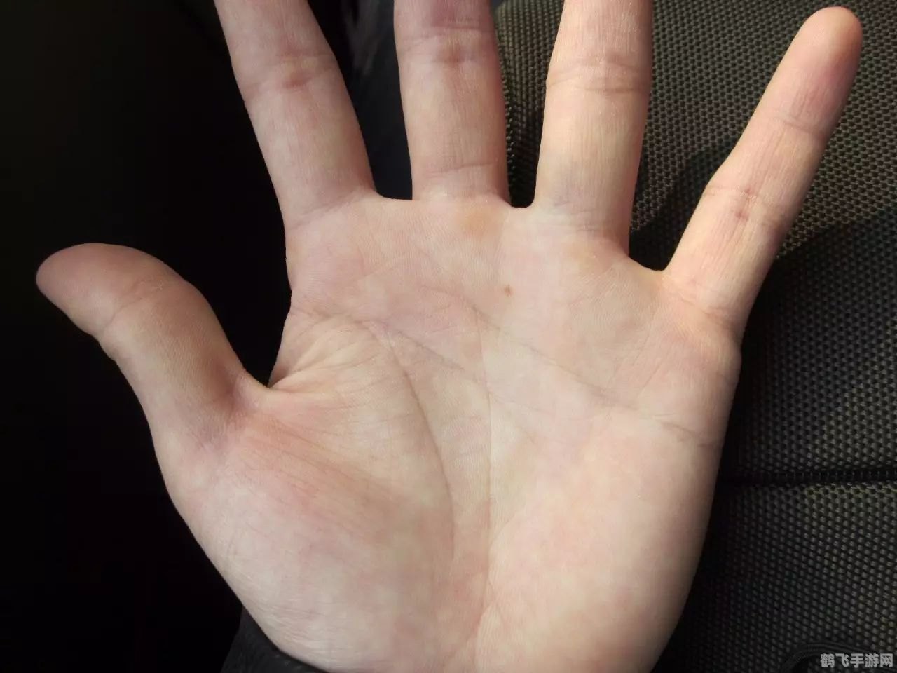 激战2什么时候开服,激战2开服指南与手游玩法攻略