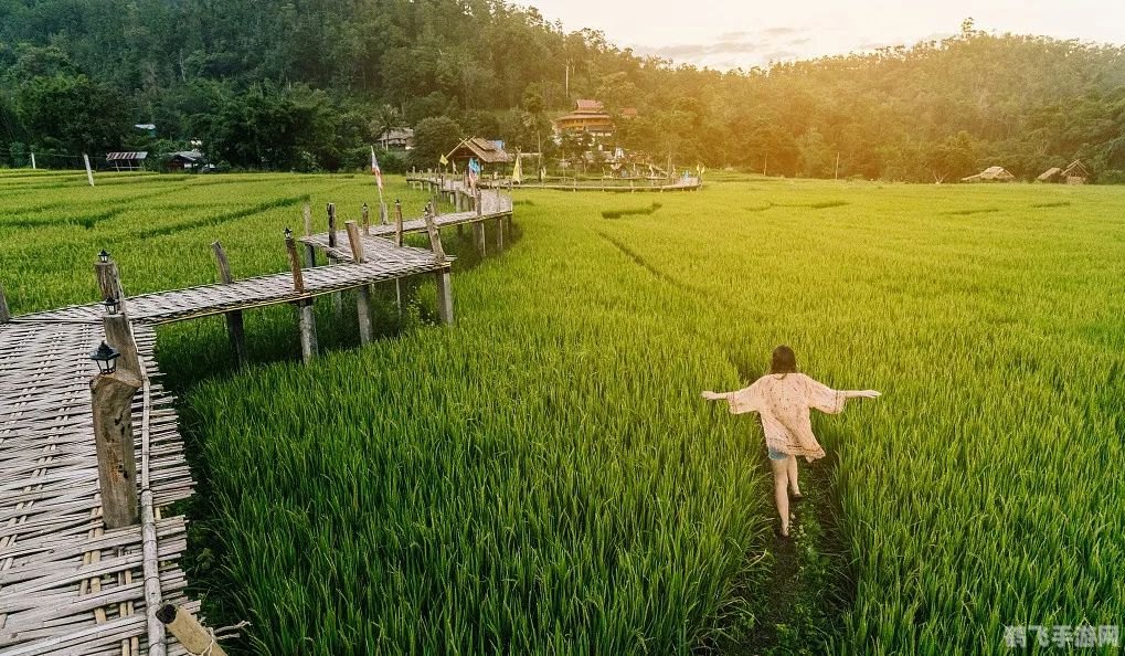 农夫的追求:探索乡村生活的无尽魅力