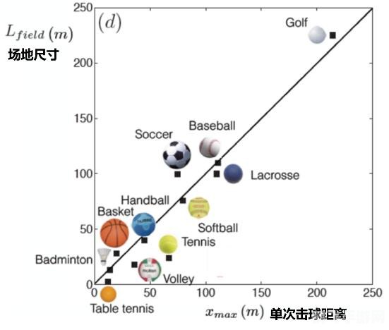 哪种球类运动的最高时速是最快的,揭秘：哪种球类运动时速最快？