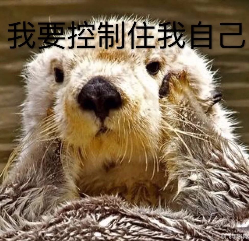 触宝号码助手,触宝号码助手助力游戏体验：掌握这5大关键词，轻松成为游戏高手