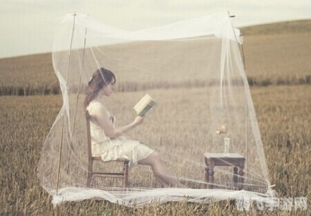 大人的游戏,大人的游戏:深度解析与攻略指南