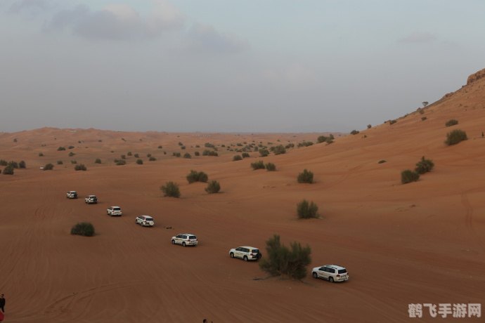 射击类单机小游戏,射击类单机小游戏：精准射击，畅享无限乐趣