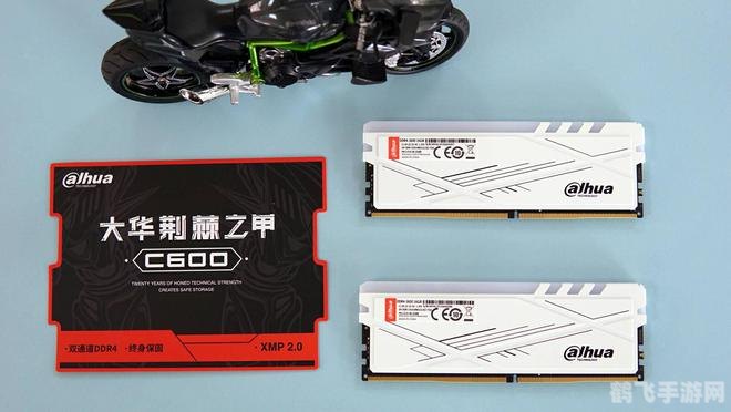 愤怒老奶奶的酷跑传奇：速度与激情的碰撞