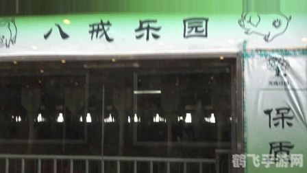 车厘子与樱桃的奥秘——蚂蚁庄园攻略揭秘