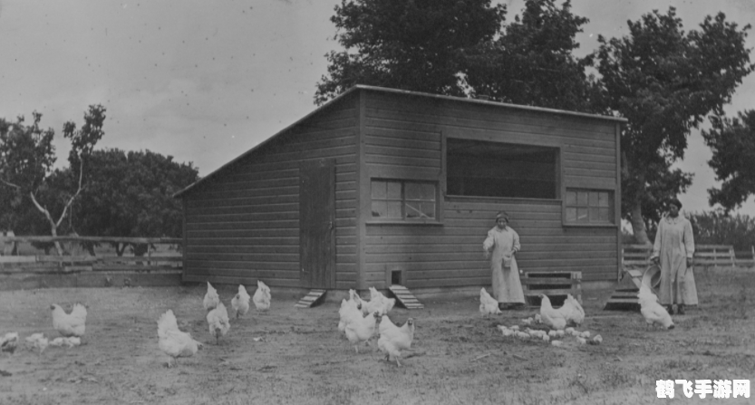 净化起源之地,手游净化起源之地深度攻略：探索未知，净化混沌