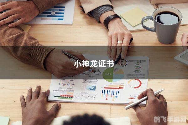 小神龙证书有什么用,小神龙证书在游戏中的作用与价值解析