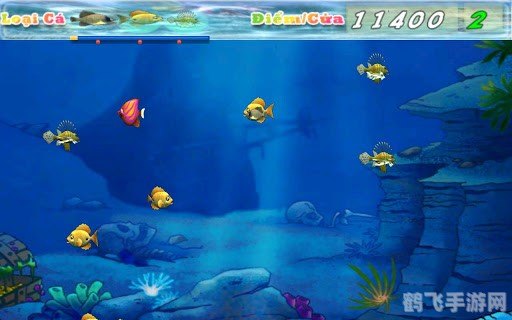 大鱼吃小鱼游戏原版,重温经典：大鱼吃小鱼游戏攻略大全