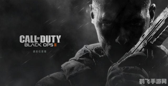 使命召唤9黑屏问题解决方案与游戏攻略