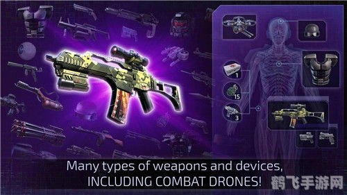 孤单枪手2,孤单枪手2：生存与挑战的终极指南