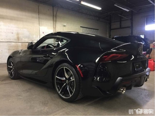 宠物王国3,宠物王国3攻略:探索宠物世界,成为顶级训练师!