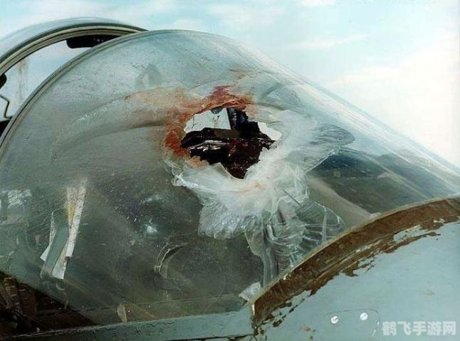 翱翔天际，探索无限——安卓平台飞行游戏精选