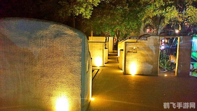 飞天动作探秘：蚂蚁庄园中的奥秘与攻略