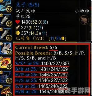 战斗宠物绷带使用指南：让你的宠物战斗力倍增