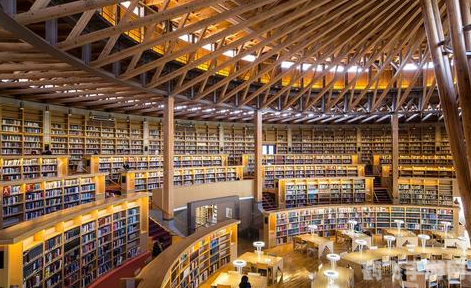 图书馆是什么梗,探索知识宝库:图书馆梗与手游攻略的奇妙结合