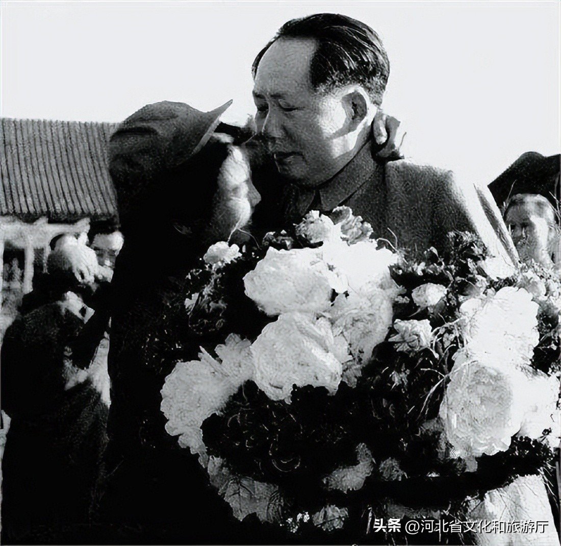 战士的拥抱,战士的拥抱手游深度攻略:拥抱战斗,拥抱胜利