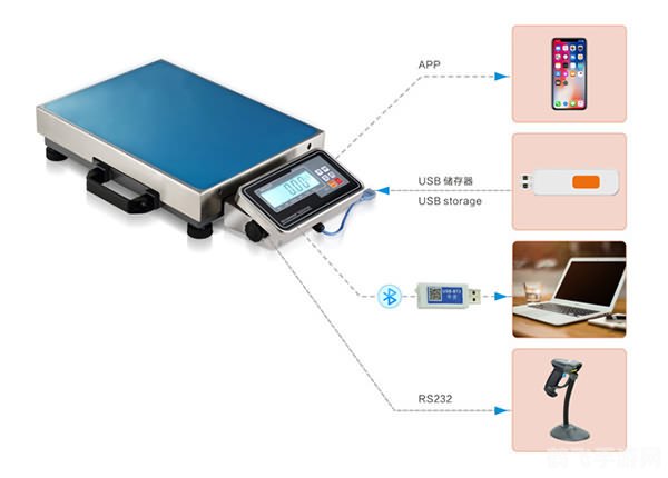 TouchScale屏幕电子秤:称重小物新玩法,轻松掌握屏幕上的重力感应秘诀
