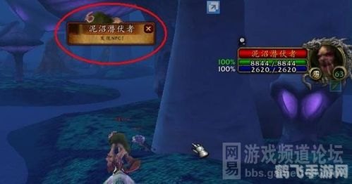 npcscan稀有怪扫描,揭秘NPCScan：如何高效捕捉稀有怪