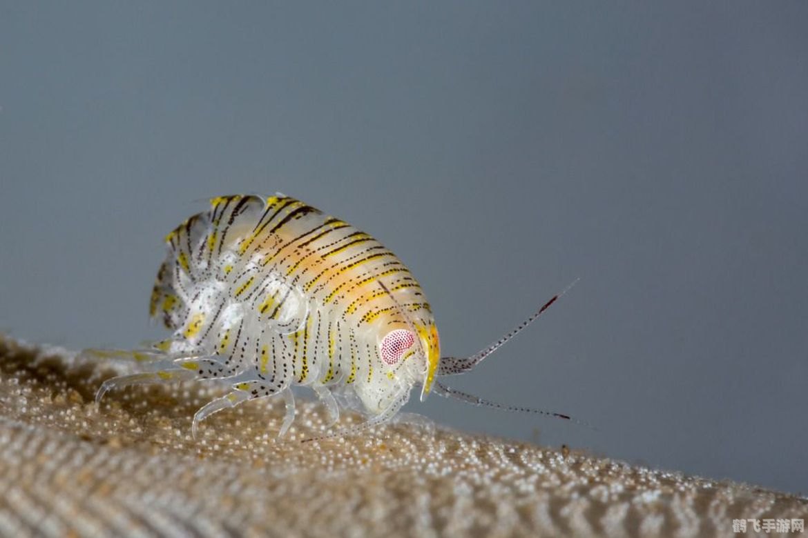 探秘蓝精灵的村庄:梦幻世界的完全攻略